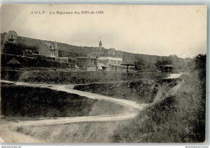 39480937 - Ault