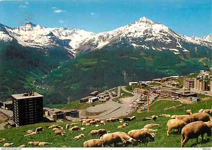 Carte Postale - 05 - Orcières Merlette - Vallée du Champsaur - Merlette - Moutons - Flamme Postale de Orcières Merlette