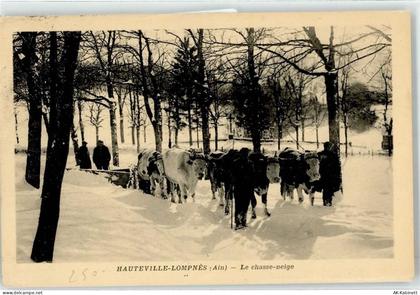 01110 Hauteville-Lompnes 1931 Winter rinder - 51890903