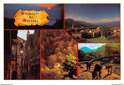 B50110 Sartene  france