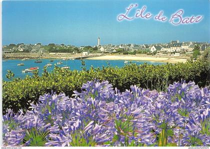 B50118 Ile de Batz le port   france