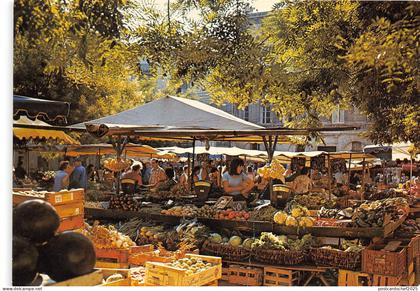 B50321 Montpelier Le Marche   france