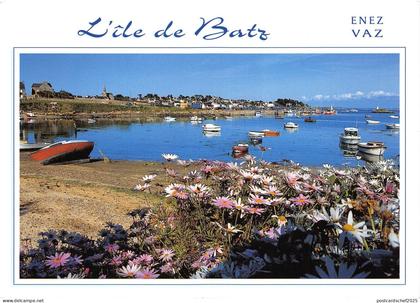 B51639 Ile de Batz Le Port ship bateaux   france