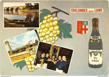 B52007 Chalonnes sur Loire Vins de Loire et Layon   france