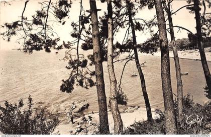 B55865 Saint Brevin l'Ocean Le Pointeau    france