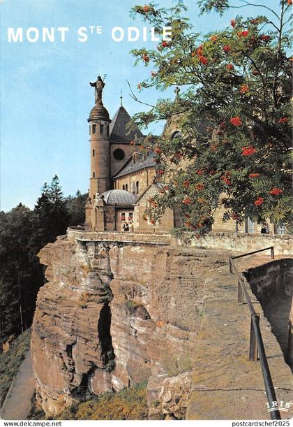 BF144 mont saint odile statue de sainte odile France