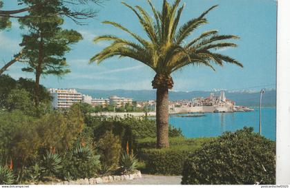 BF22036 antibes la vieille ville  france  front/back image