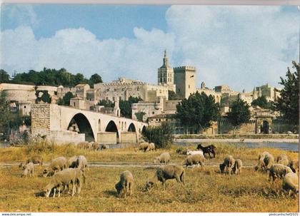 BF24517 vue generale pont d avignon et palais  avignon  france  front/back image