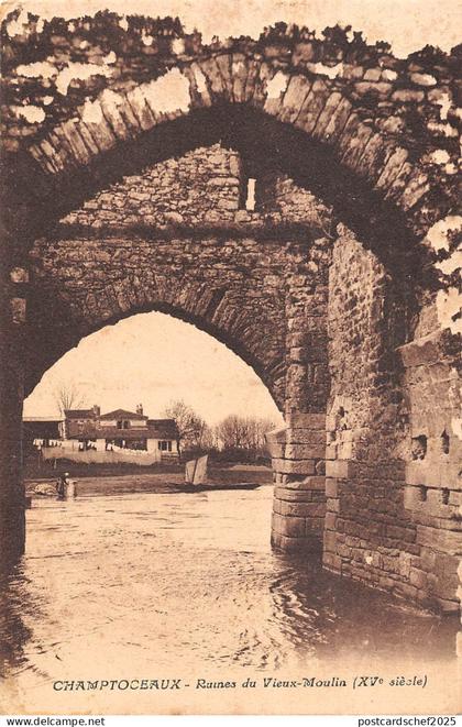 BF5129 champtoceaux ruines du vieux moulin france     France