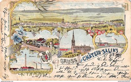 BG19219 gruss aus chateau salins  france litho