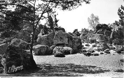 BR11306 Larchant les rochers de la justice  france