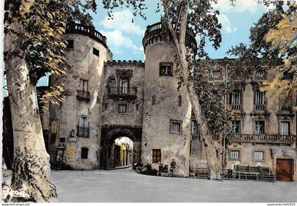 BR15594 Porte de France Ceret  france