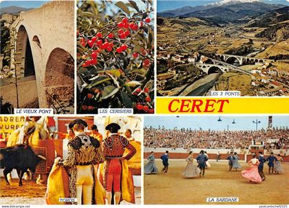 BR15977 Ceret  France