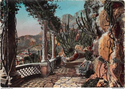 BR16015 Monaco le jardin Exotique