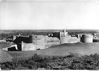 BR19379 Le chateau Salses  france