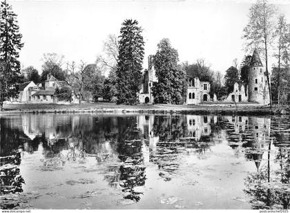 BR20220 Chateau Royal du Vivier fontenay tresigny France