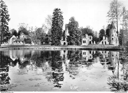 BR20223 Chateau royal du vivier Fontenay Tresigny France