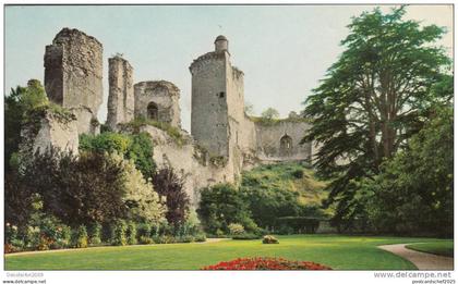 BR2029 Vendome Le chateau des comtes de Vendome  france