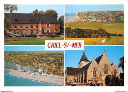 BR21766 Criel sur Mer Le manoir de Brincon   france