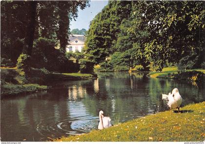 BR22501 Chatenay Malabry Pepiniere Croux cigne swan france