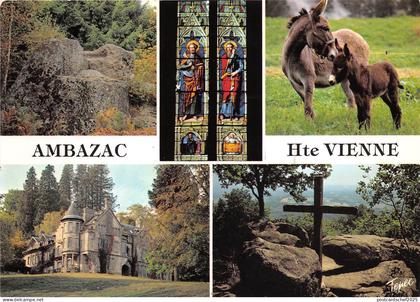 BR2393 France Ambazac anes donkeys multi vues