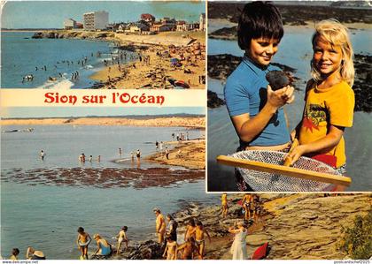 BR23937 Saint Hilaire de Riez Sion sur Ocean  france