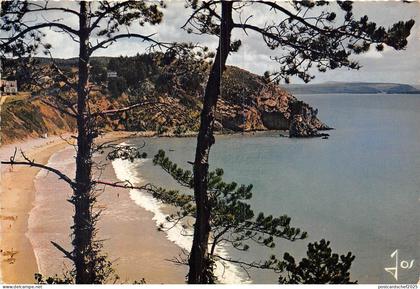 BR2667 La Plage du Porzic Crozon Morgat   france