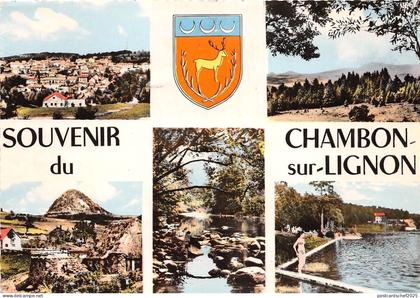BR28548 Le Chambon sur Lignon france