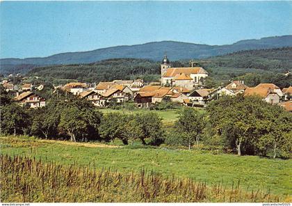BR31081 Provencheres sur Fave vue generale france