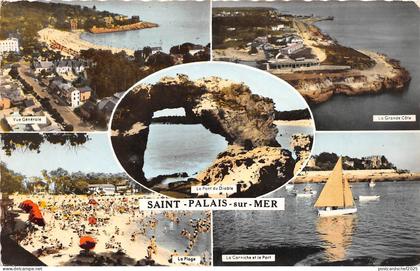 BR38798 Saint palais sur Mer france