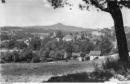 BR40857 le chambon sur lignon vue generale et le Lizieux      France