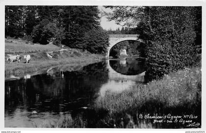 BR40858 le chambon sur lignon     France