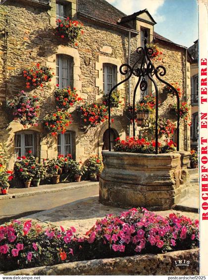 BR43241 le puits fleuri Rochefort en terre    France