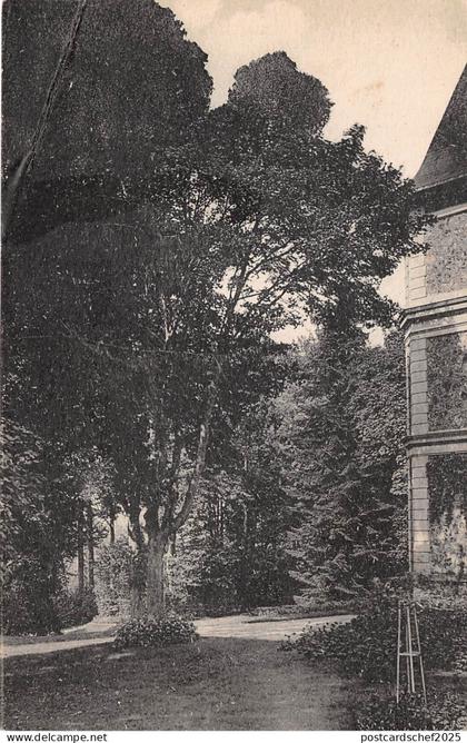 BR7206 Arbres tree france    france