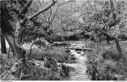 BR7481 La Roquebrussanne La Source de la Foux   france