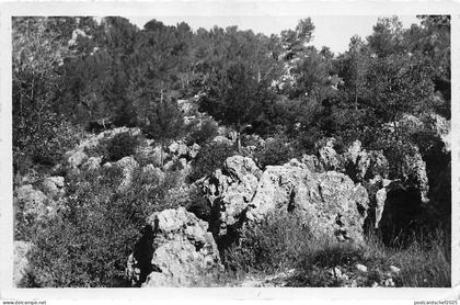 BR7482 La Roquebrussanne les Neuf Fonds   france