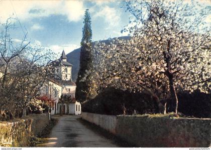 BT5787 Itxassou l eglise et les cerisiers en fleurs        France