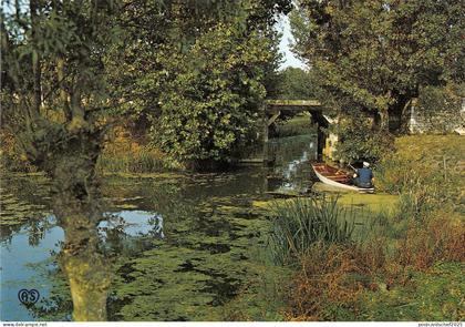 BT6280 Maillezais promenade au pied de lAbbaye       France