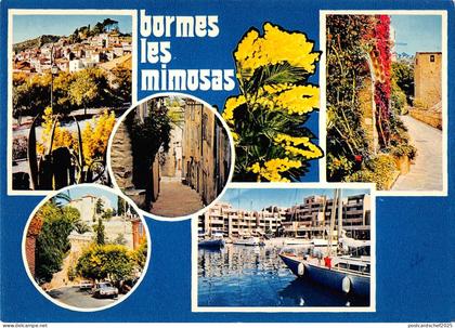 BT6551 Bormes les mimosas       France