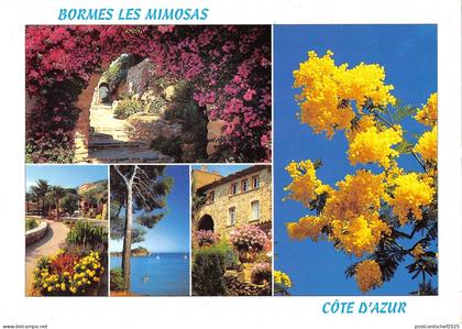 BT6816 Bormes les mimosas       France