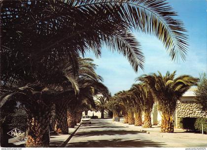 BT9530 l avenue des palmiers saint cyprien          France