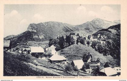 France Saint Pierre d'Entremont Le Chateau Castle vintage postcard