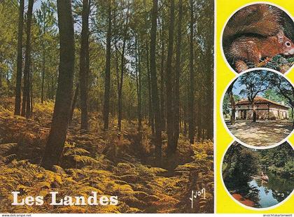 Les Landes, Côte Aquitaine ngl #E2522