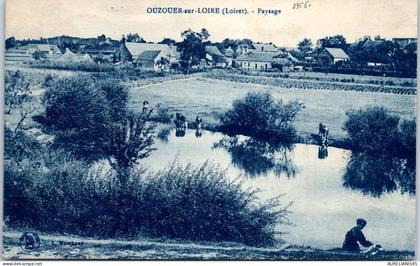45 OUZOUER SUR LOIRE - paysage.