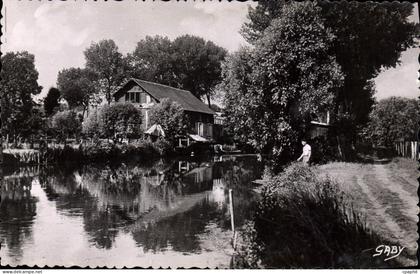 CPA Pacy Sur Eure Un Joil Paysage Sur I'Eure