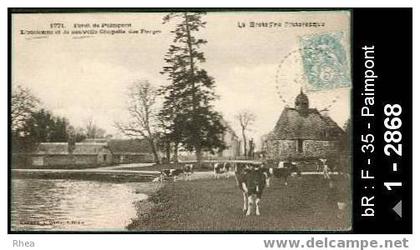 35 Paimpont - 1771 - Forêt de Paimpont - L'Ancienne et la nouvelle Chapelle des Forges - chap /  D35D  K35223K  C35211C