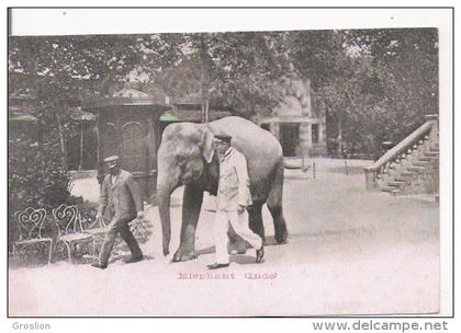 ELEPHANT INDE