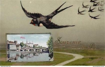 55095767 - Pau