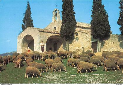 84 PERNES LES FONTAINES LES FONTAINES