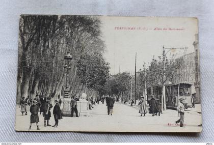 Perpignan, allées des Marronniers, Pyrénées Orientales 66